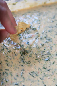 Easy Hot Spinach Salsa Queso Dip from Haystacks and Champagne