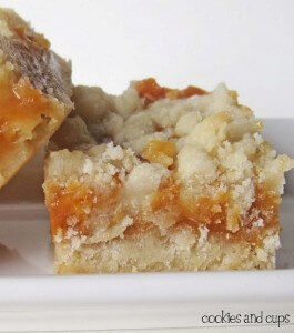 Salted Caramel Butter Bars